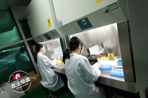 最快30分钟可出结果 长沙一企业成功研制新型冠状病毒检测产品
