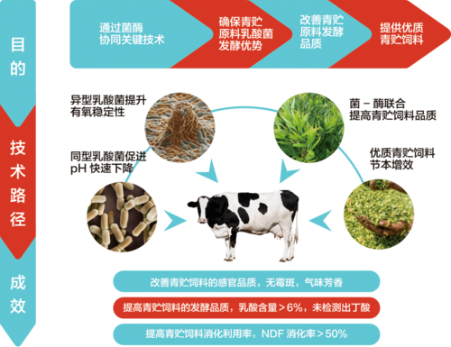 生物饲料开发国家工程研究中心是由国家发展与改革委员会批准建立的